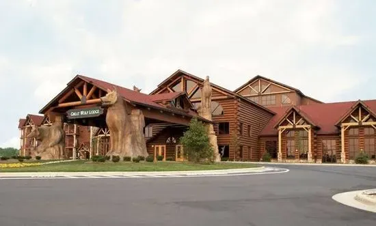 Great Wolf Lodge Water Park | Mason