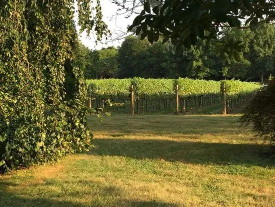 Fox Hollow Vineyards