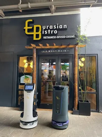 Eurasian Bistro