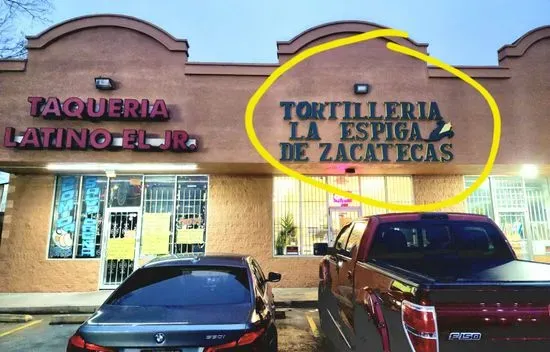 Tortilleria La Espiga De Zacatecas