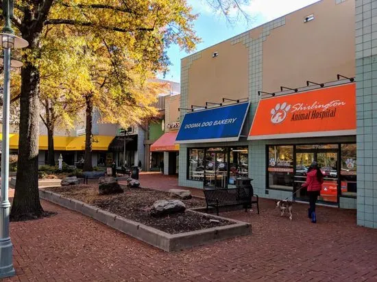 Dogma Bakery - Village at Shirlington