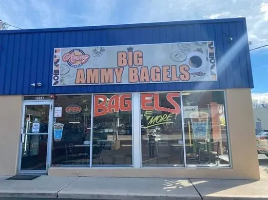 Big Ammy Bagels