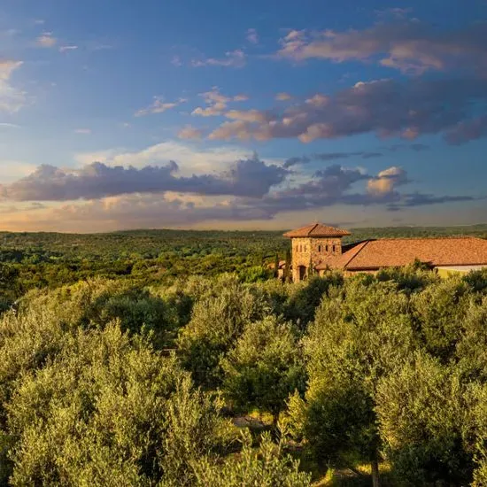 Texas Hill Country Olive Co.