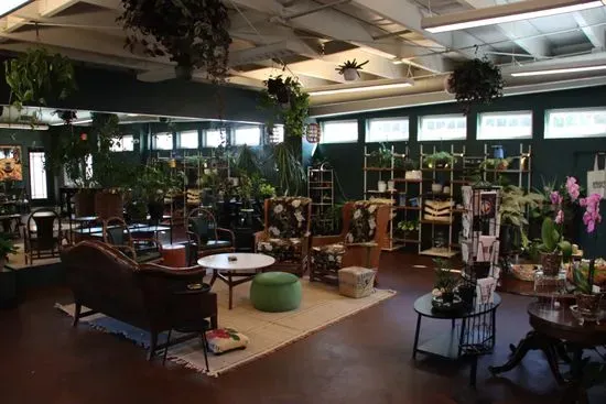 The Ground Coffeehouse and Plant Shop