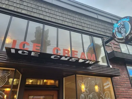 Molly Moon's Homemade Ice Cream