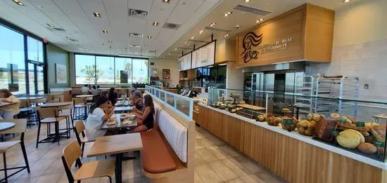 Panera Bread