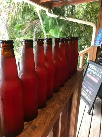 FermaCulture Kombucha