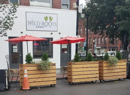 Wild Roots