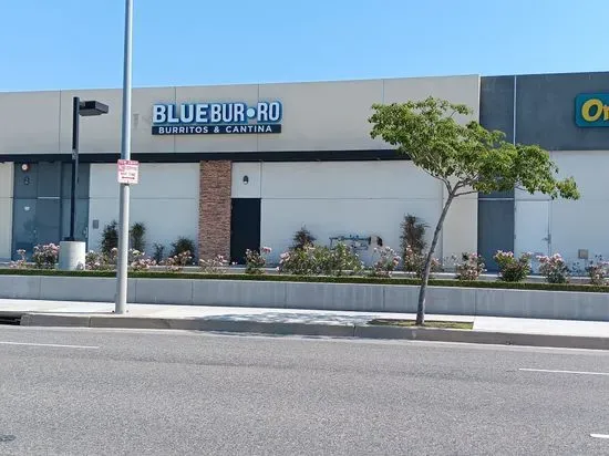 Blue Burro Burritos & Cantina Torrance