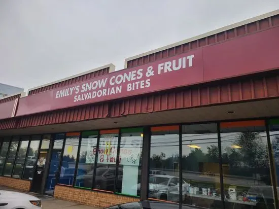 Emily's Snow Cones & Fruit