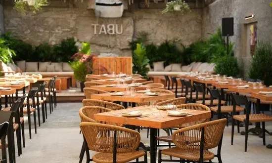 TABÚ - Williamsburg