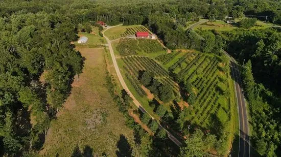 Perry's Berry's Vineyard & Winery