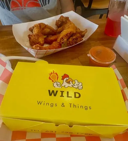 Wild Wings and Things