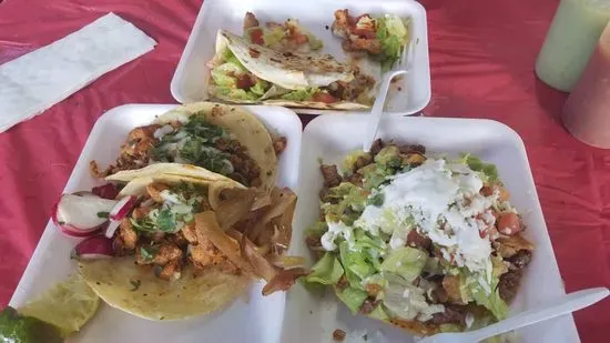 Tacos dos potrillos