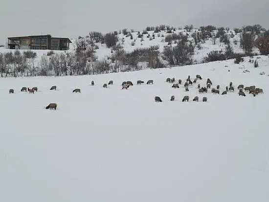 Catamount Ranch & Club