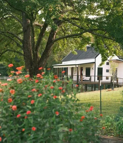 The Horse Shoe Farm