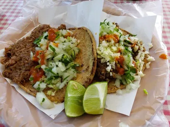 Tacos de borrego Los tios