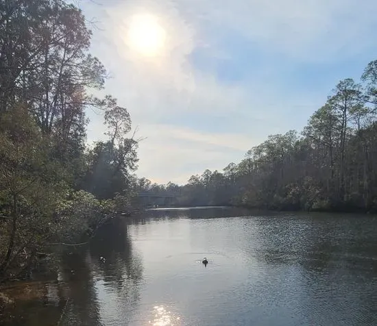 Ruby's Fish Camp Boat Ramp