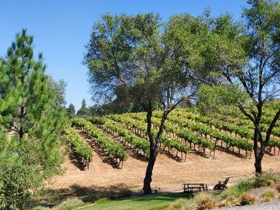 Sentivo Vineyards & Winery