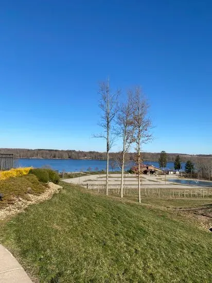 The Vineyards at Pine Lake