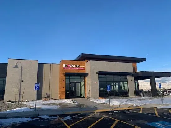 Blossom Chinese & American Restaurant