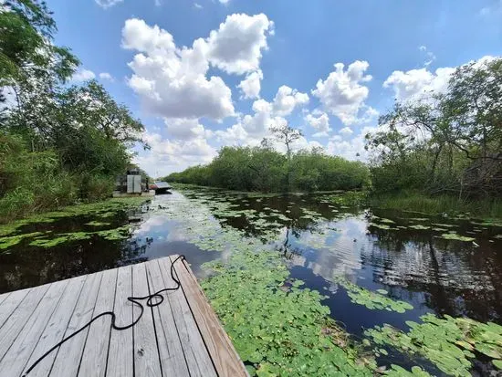 Coopertown The Original Airboat Tour