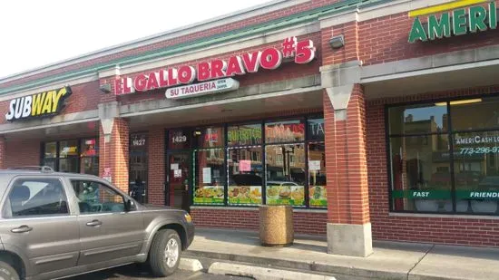 El Gallo Bravo