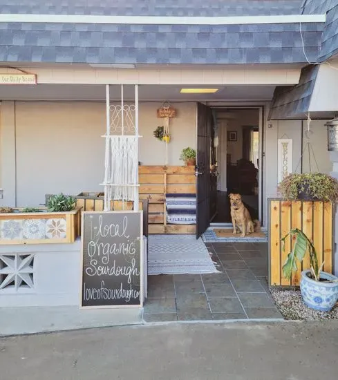 For the Love of Sourdough: A Desert Organic Sourdough House