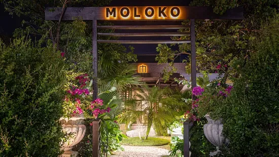 Moloko Miami