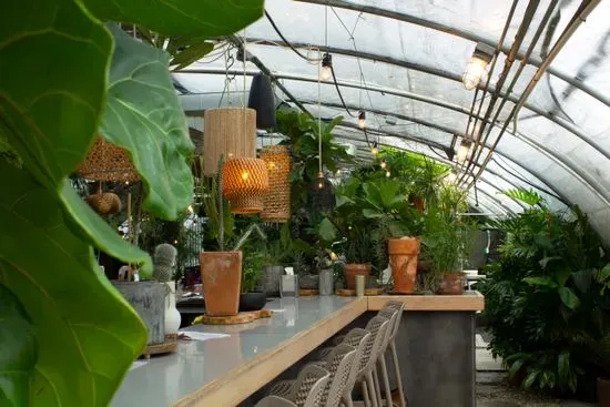 Greenhouse Bar