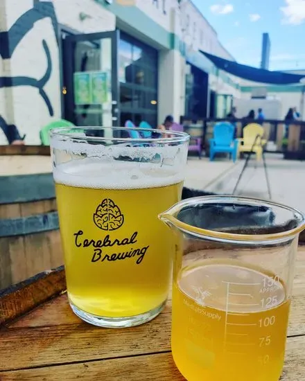 Cerebral Brewing - Congress Park