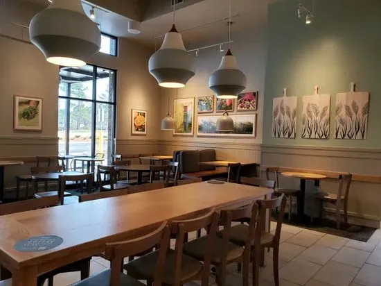 Panera Bread