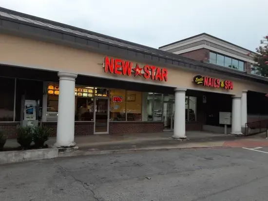 New Star Chinese Restaurant