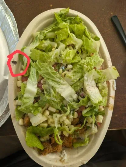 Chipotle Mexican Grill