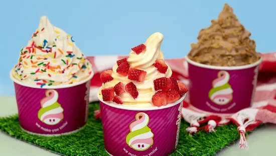 Menchie's Frozen Yogurt