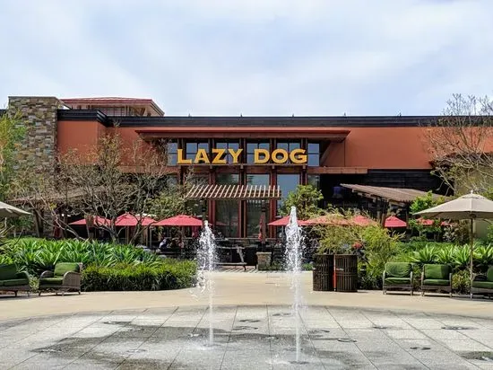 Lazy Dog Restaurant & Bar