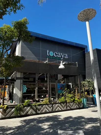 Tocaya Modern Mexican