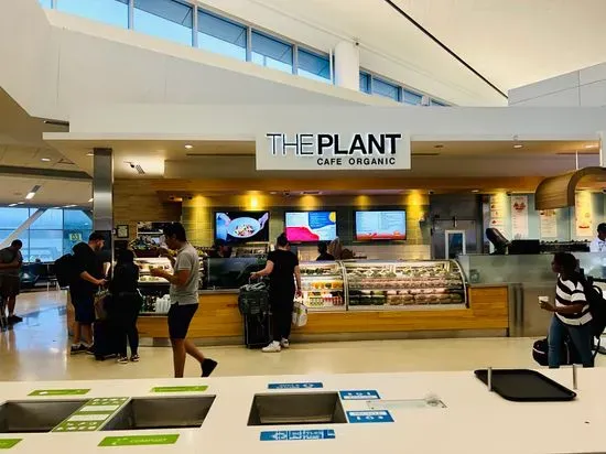 The Plant Café Organic