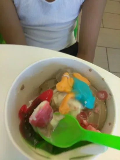 Tutti Frutti Frozen Yogurt