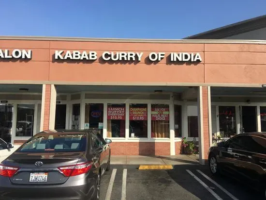 Kabab Curry Cuisine of India