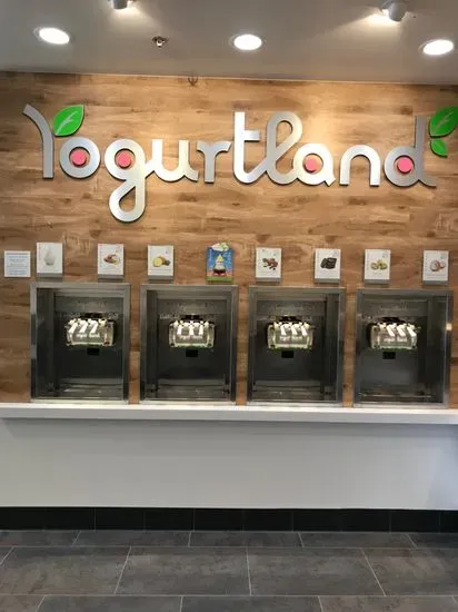 Yogurtland Anaheim Katella
