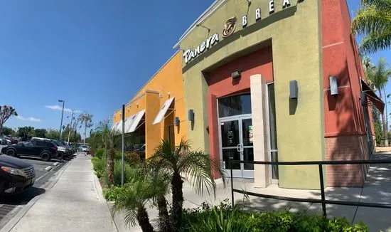 Panera Bread