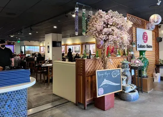 Sakura Bistro Tapas & Sake Bar