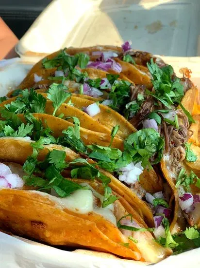 Los Originales Tacos de Birria