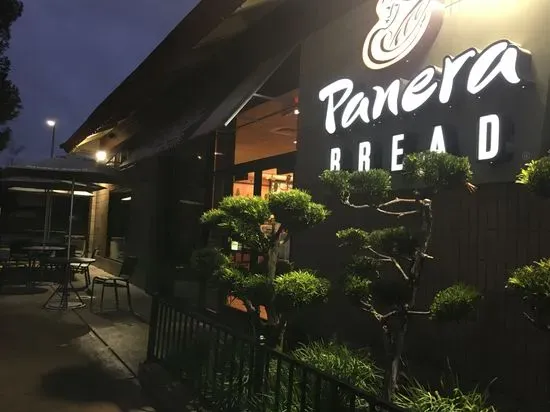 Panera Bread