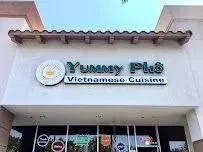 Yummy Pho