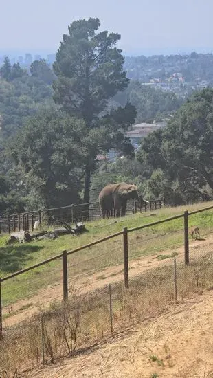 Tuskers Grill at Oakland Zoo