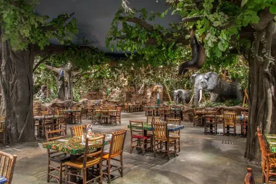 Rainforest Cafe