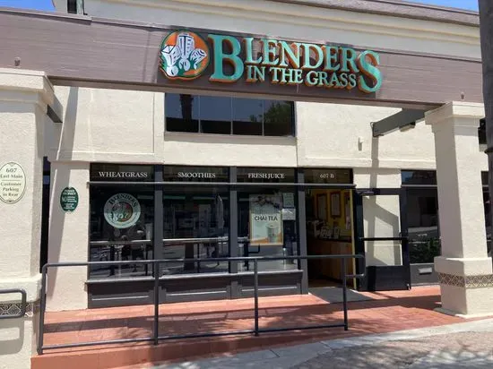 Blenders In The Grass - Downtown Ventura