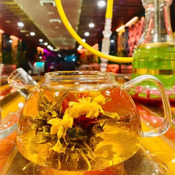 Lotus Hookah Lounge Bronx, NY Checkle